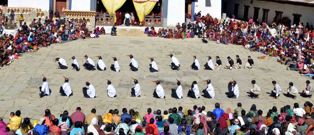 Black-Necked-Crane-festival