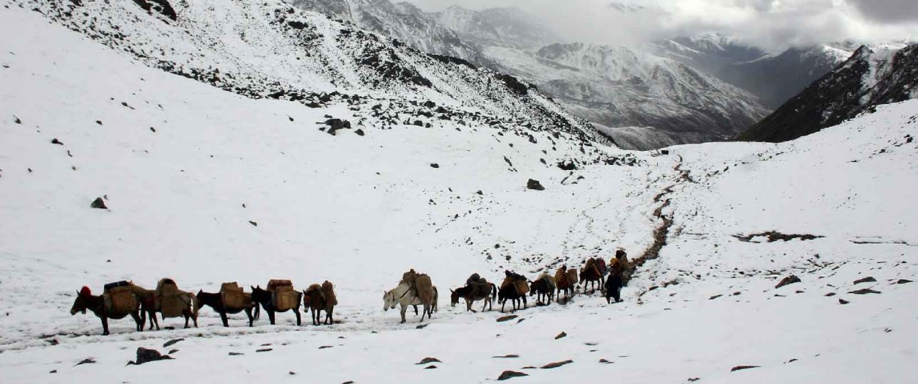 Snowman trek