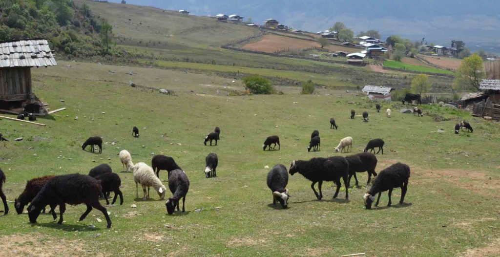 bhutan-village