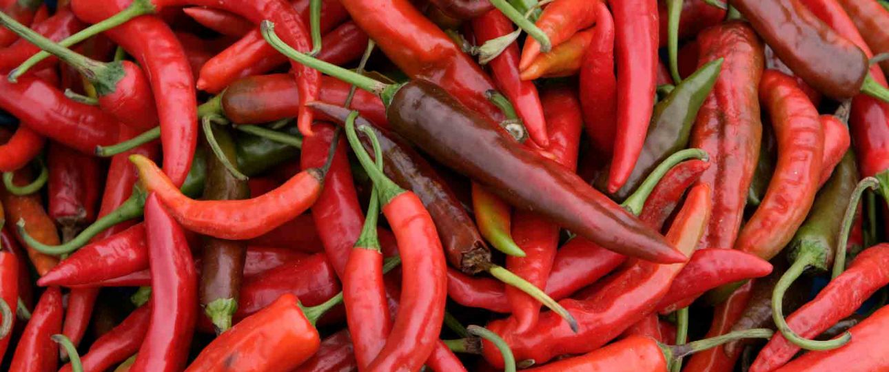 bhutanese-red-chili